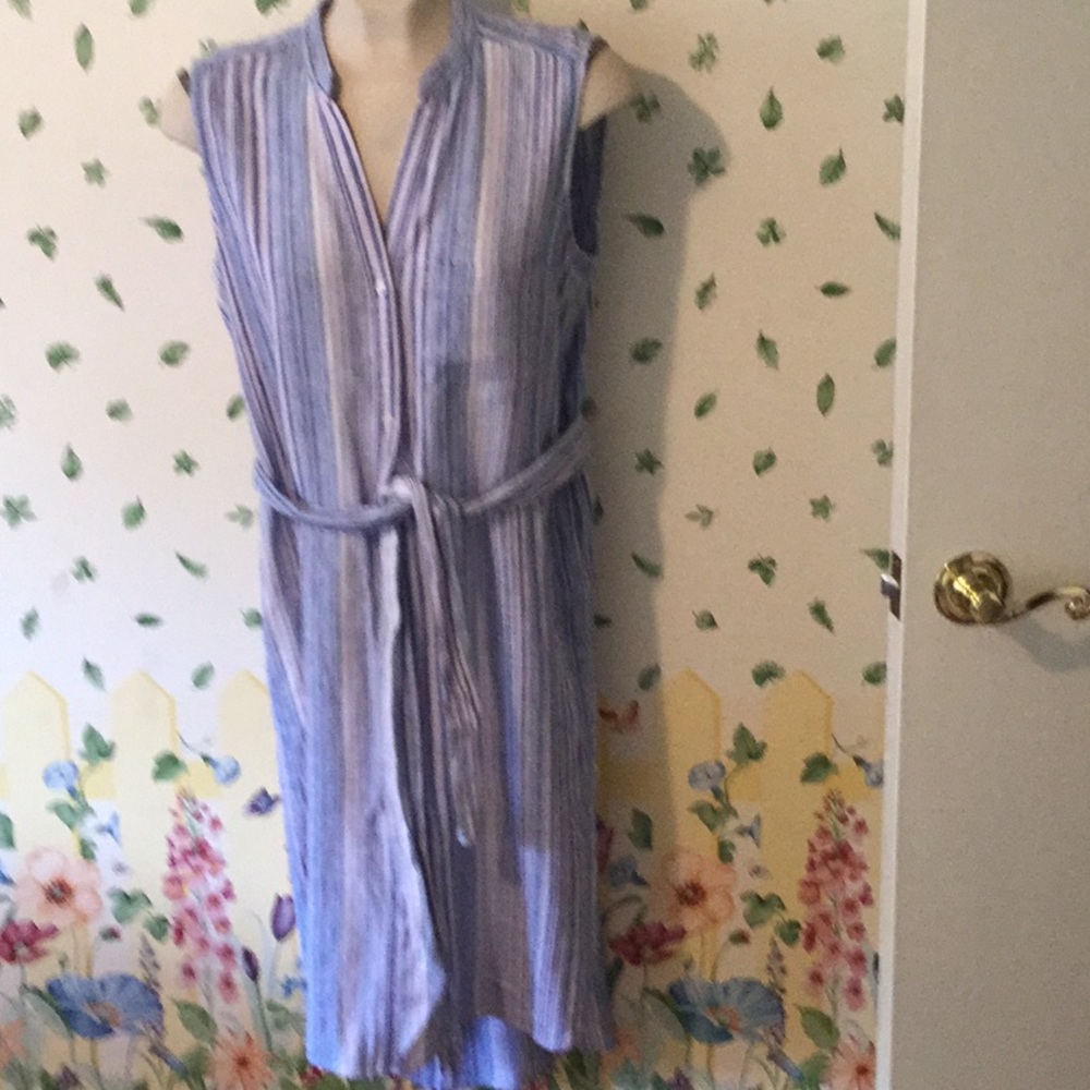 Sleeveless tie shirtwaist dress from Gap